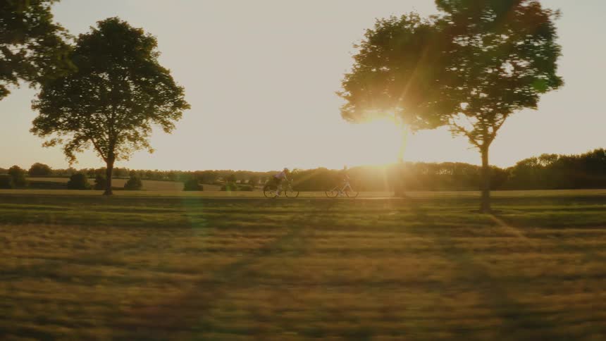 Silhouetted cyclists ride along a beautiful tree-lined country road as the warm setting sun creates a stunning lens flare
