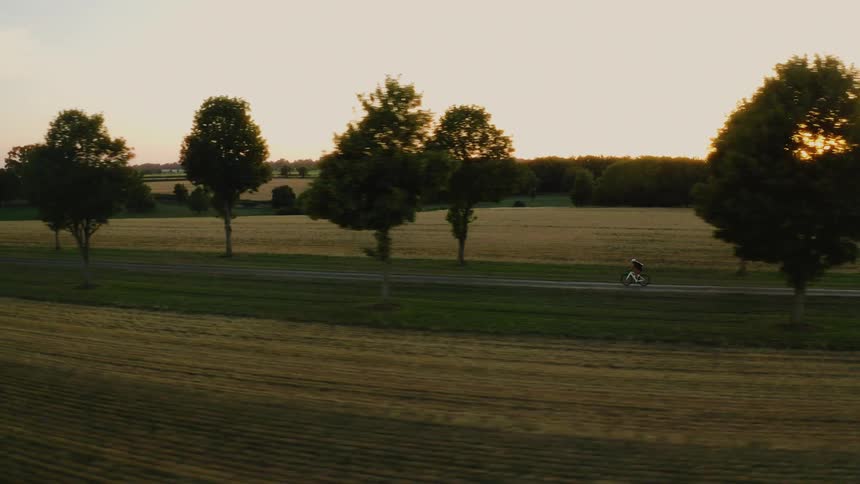 An aerial shot follows a lone cyclist riding down a tree-lined country road surrounded by fields during a golden sunset