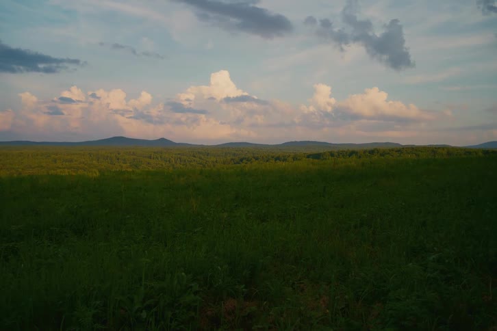 A serene, static wide shot of a lush green field stretching towards a distant forest and mountains under a beautiful cloudy sky