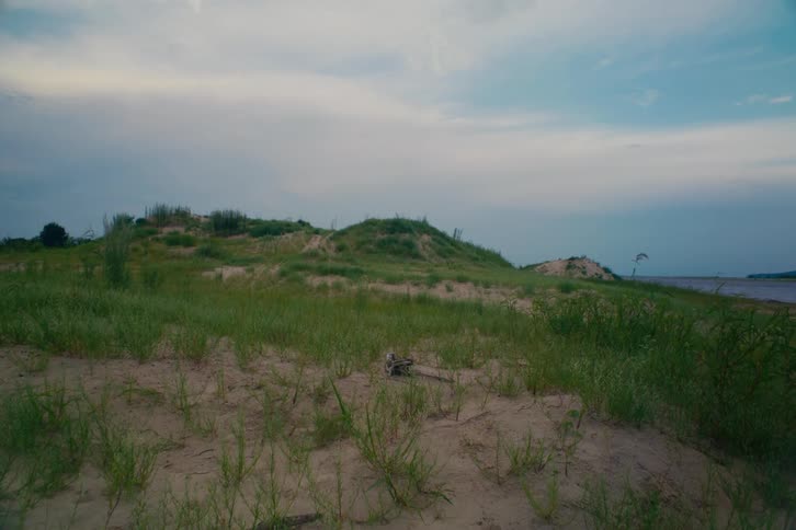 A static shot of grassy sand dunes along the coast under a cloudy sky