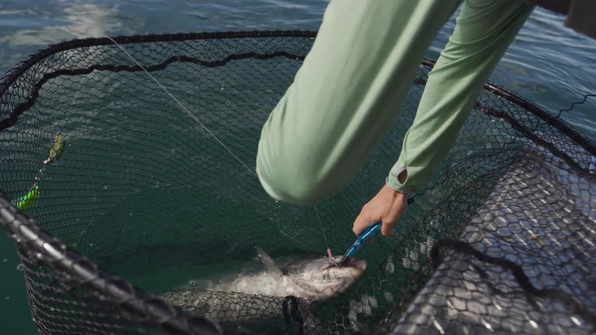 In slow motion, a fisherman carefully removes a hook from a large salmon's mouth while it rests in a net in the water