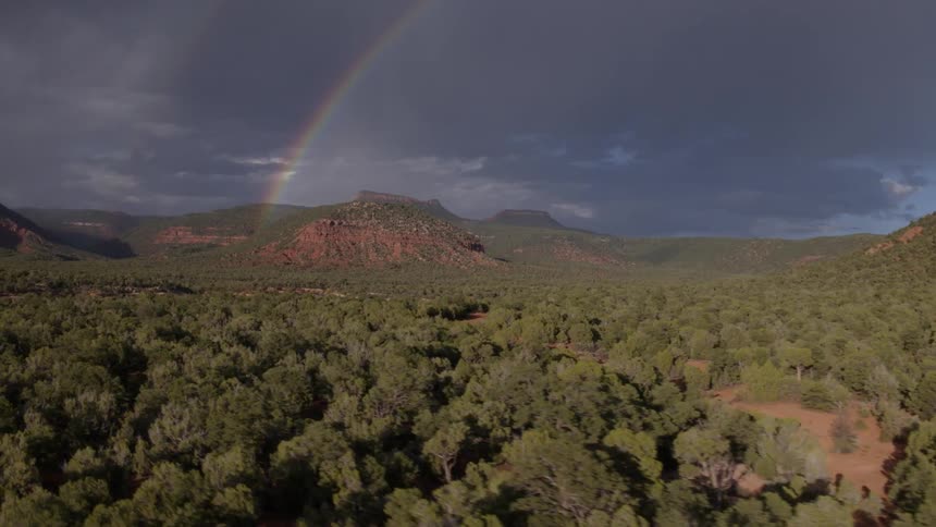 The valley is full of trees and a rainbow ahead