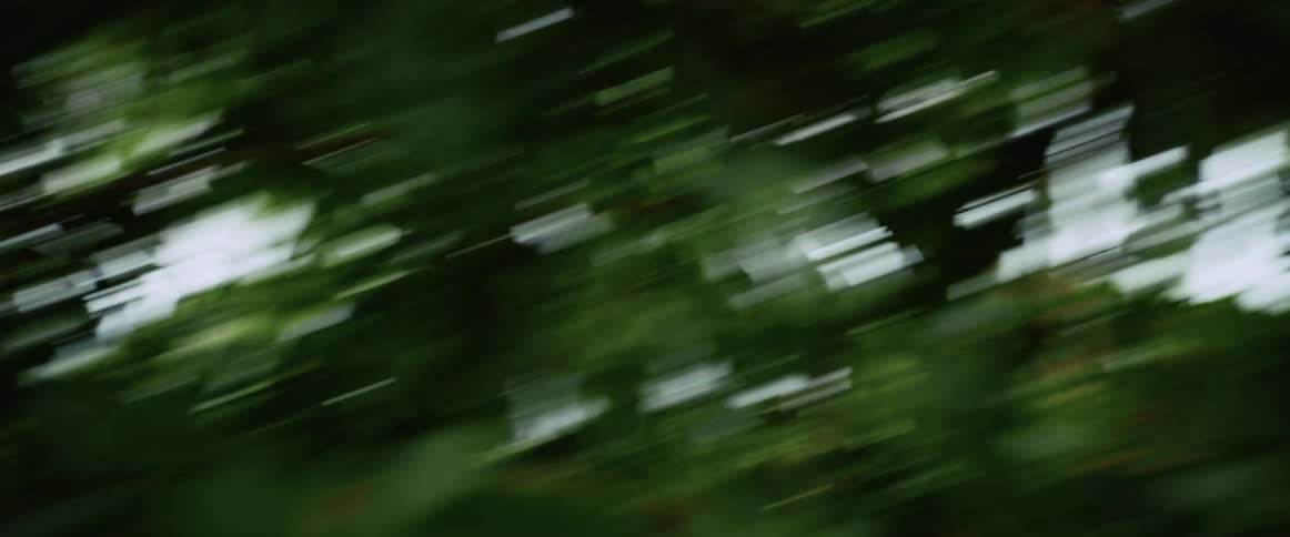 Abstract and chaotic motion blur rushes through a lush green forest, creating a disorienting effect