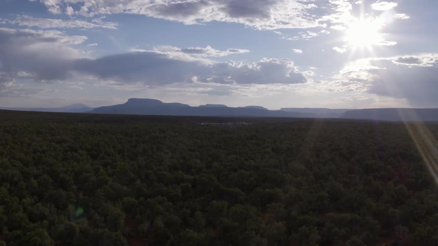 The sun is shining brightly over a forest and hills