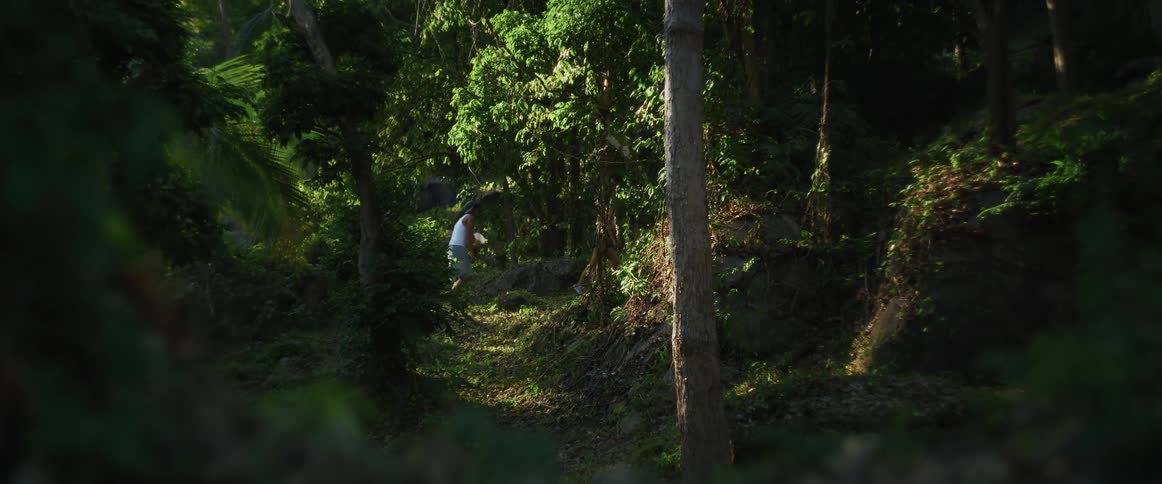 A couple walks up a sun-dappled dirt path through a lush green jungle