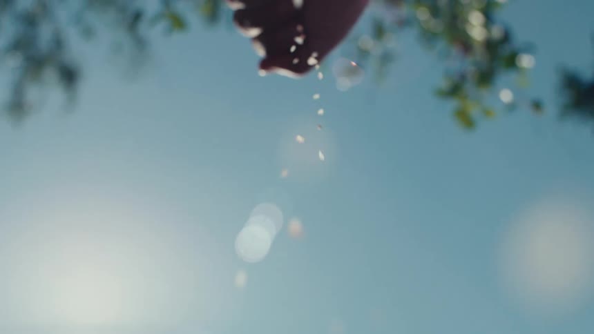 Low angle slow motion shot of a hand tossing rice against a sunny blue sky