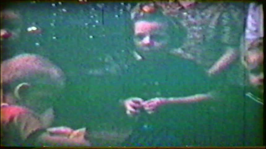 A nostalgic home movie captures several young children playing together outdoors
