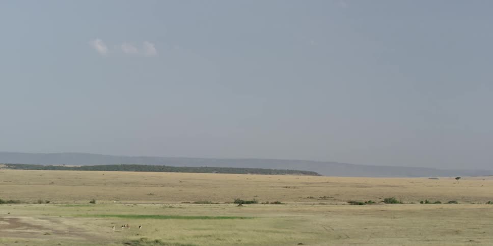 Wide angle view of a grassy plain on a hazy day