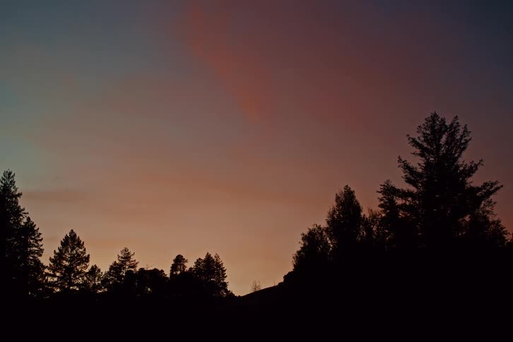 A serene twilight sky with shades of pink and orange glows above a silhouetted forest