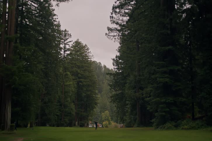 A lone golfer swings a club on a lush green fairway surrounded by giant redwood trees on an overcast day