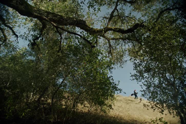 From a shaded forest floor, a hiker in a red hat walks across a sunny, golden hill against a blue sky