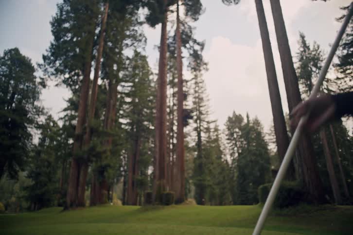A man retrieves his golf ball from the hole on a scenic putting green before replacing the flag, surrounded by a forest of towering trees
