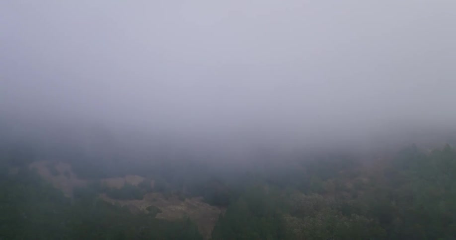 A slow aerial view drifts over a lush mountain forest completely enveloped in a thick, mysterious blanket of fog