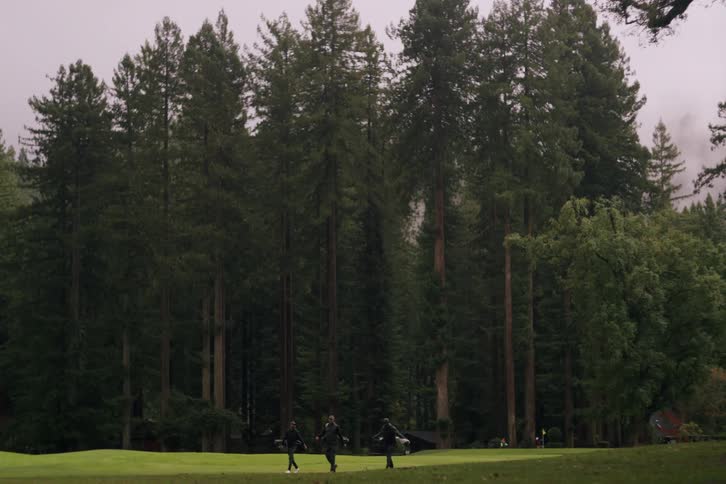 A trio of golfers walks across a lush green fairway, dwarfed by a magnificent forest of towering redwood trees