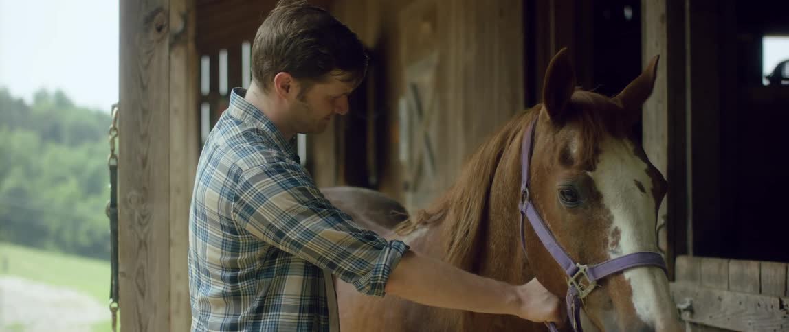 A man is standing in a stable grooming a horse