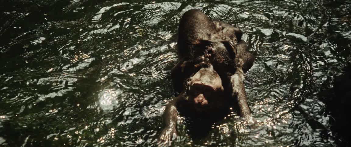 Slow motion high-angle shot captures two macaque monkeys playfully wrestling and splashing in a shimmering river