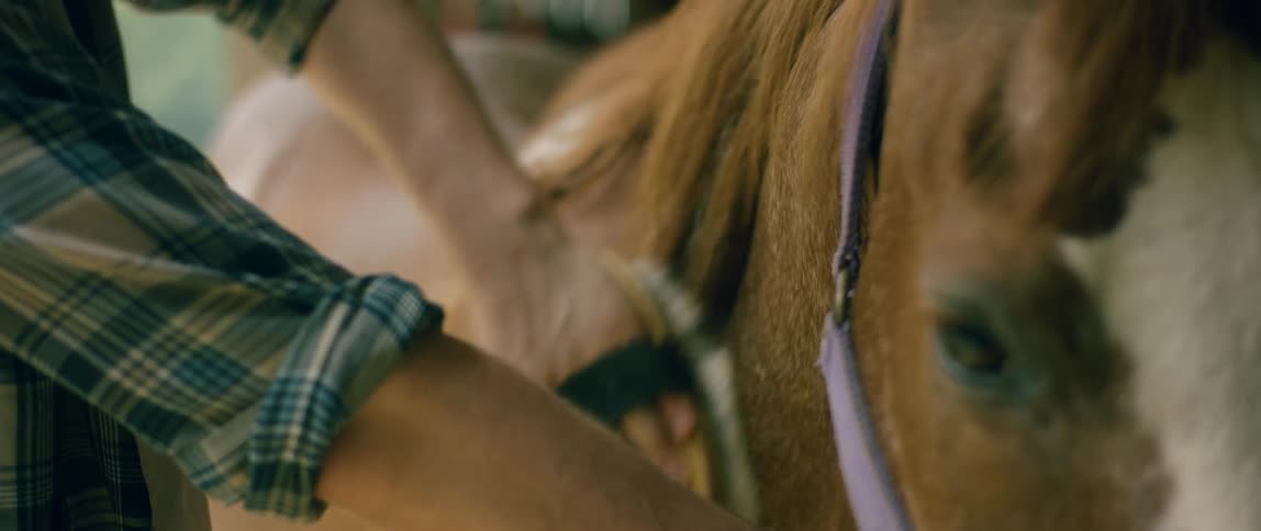 A person is combing their horse