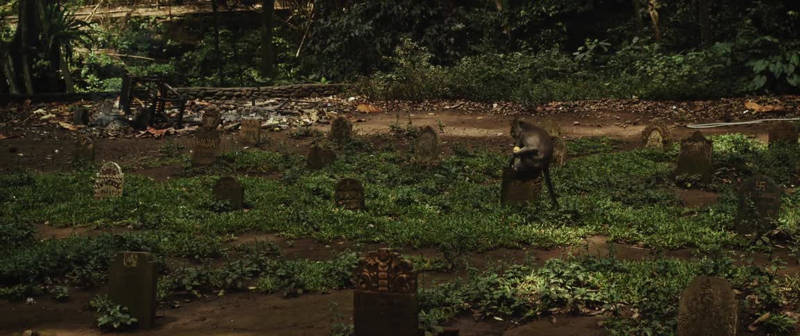 A solitary monkey sits atop an old tombstone, eating a piece of fruit in an overgrown jungle cemetery