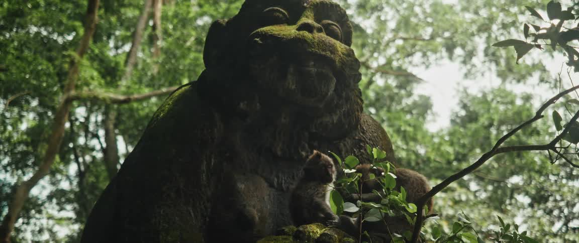 Two small monkeys sit quietly in front of a large, moss-covered ancient stone statue deep within a lush green jungle