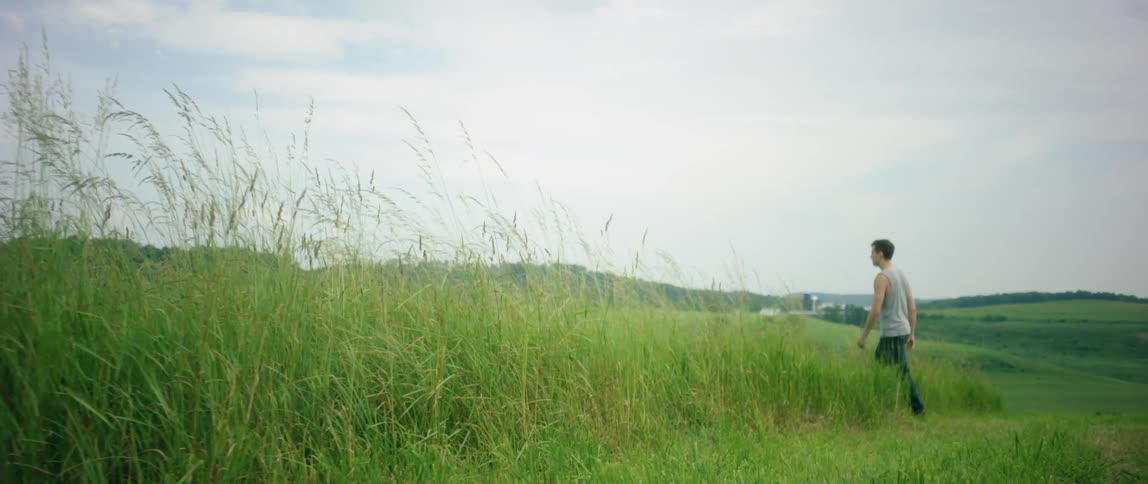 A man walks in a grassy field on a summer day