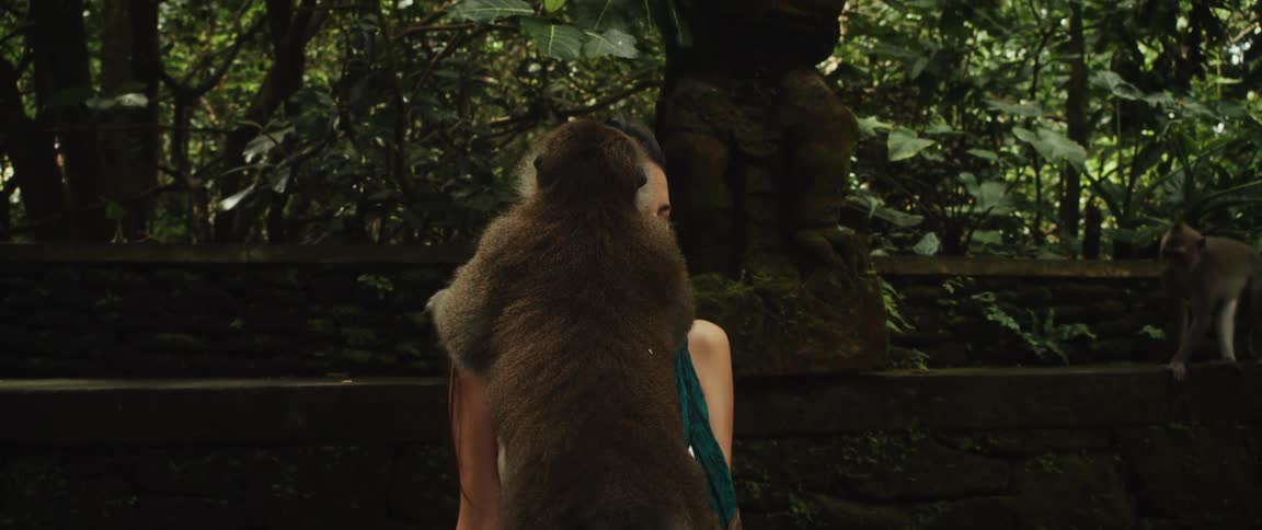 A smiling woman enjoys a gentle interaction as a monkey climbs onto her shoulder in a lush jungle sanctuary