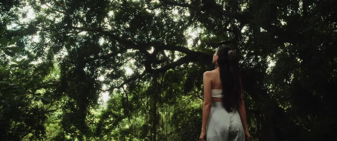 A slow-motion zoom-out reveals a woman with long dark hair standing in a lush tropical forest, looking up in awe at a giant ancient tree