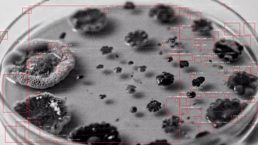 A black and white time-lapse with a data analysis overlay shows mold and bacteria colonies growing in a petri dish
