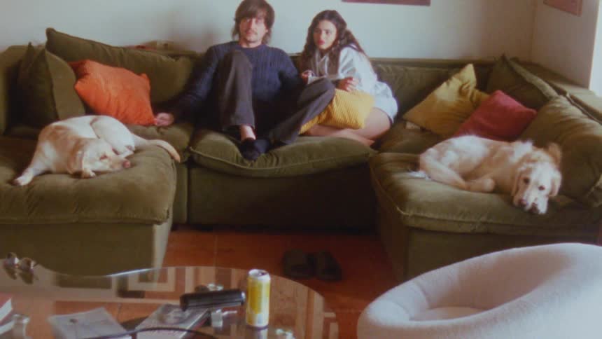 Retro film shot of a young couple and their two sleepy dogs relaxing on a green sofa in their living room
