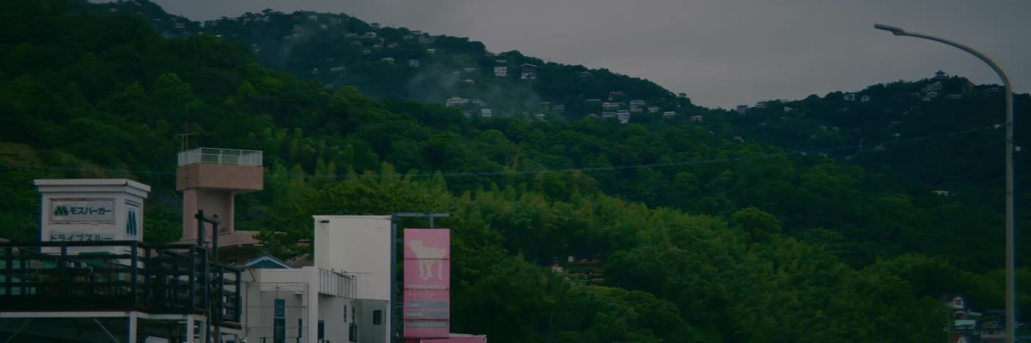 A foggy, green hillside dotted with houses in a Japanese town on an overcast day
