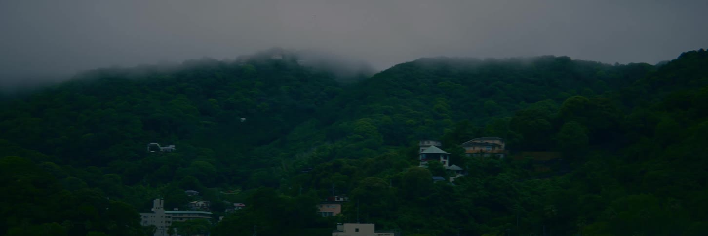 A lone white bird flies across a foggy, lush green mountain landscape dotted with houses
