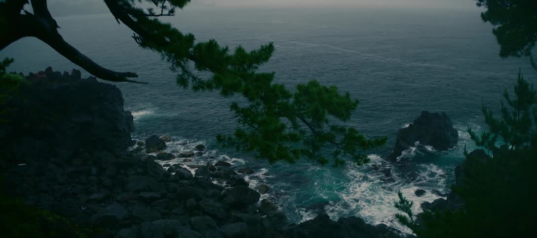 A pine tree branch hangs over a dark, turbulent sea crashing against a rocky coastline on a moody, overcast day