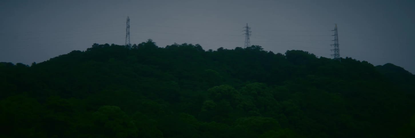 A somber view of a dark, dense forest under a grey sky with distant power pylons