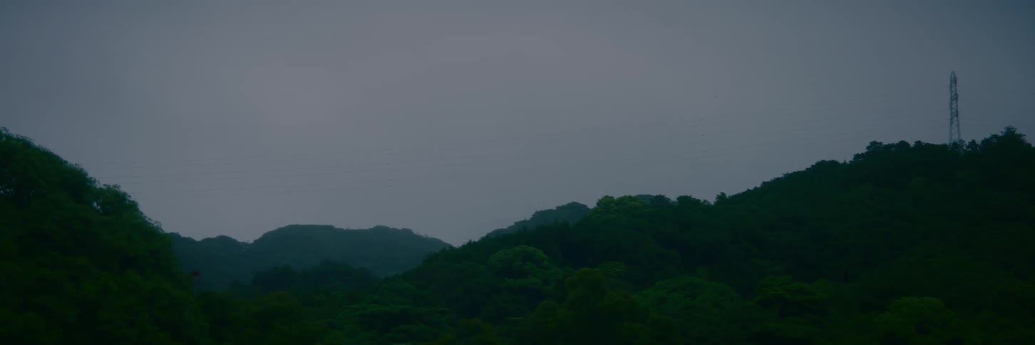 A still shot of lush, dark green forested hills under a heavy, overcast grey sky