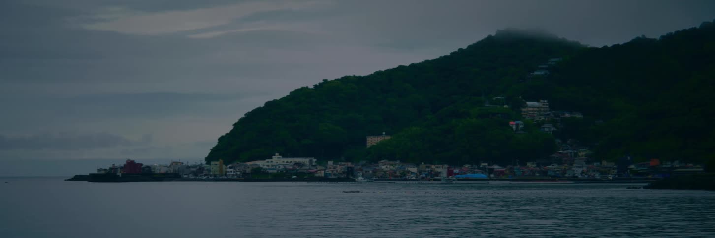A tranquil seaside town is nestled at the base of a lush, green mountain on a calm, overcast day
