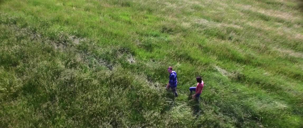 Two people walk through a green field during the day