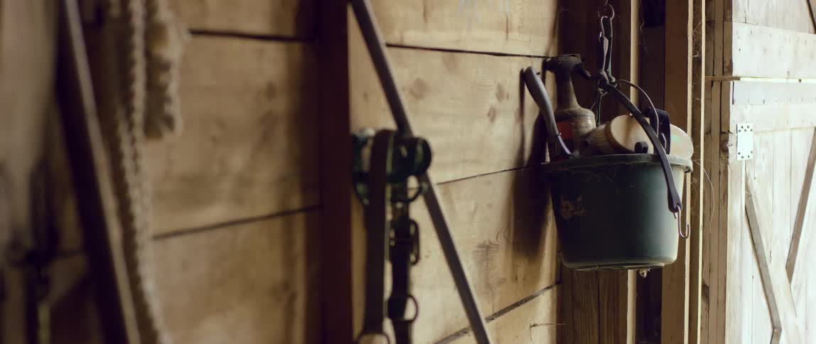 Cleaning supplies and harnesses hang on a stable wall