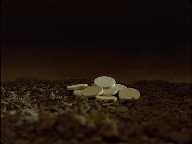 A static close-up shot of several circular pills or tablets on a bed of dark soil