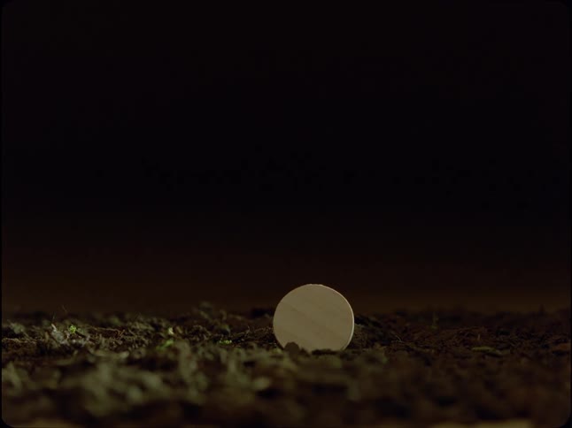 A single finger slowly points to a small wooden disc planted in soil against a black background
