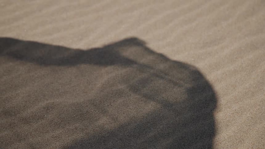The shadow of a fabric ripples in the wind over the fine grains of sand