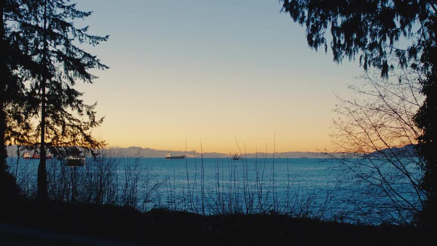 A tranquil view of cargo ships on the ocean at sunset, framed by silhouetted trees from the shoreline