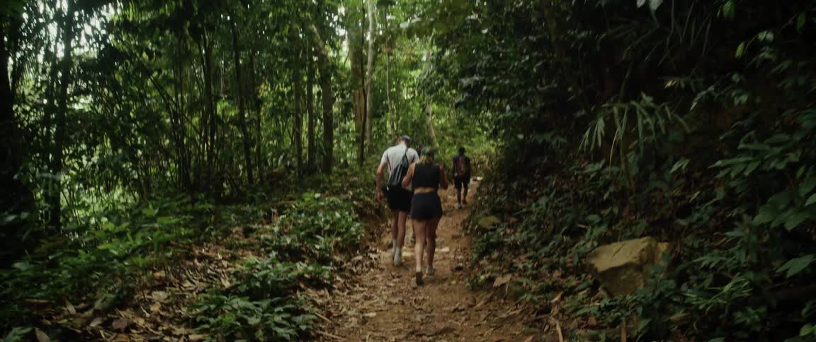 A group of adventurous hikers walks along a steep, narrow trail in a lush tropical jungle