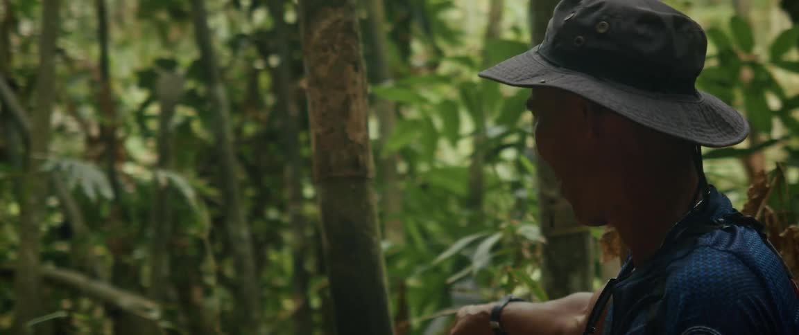 A smiling local guide in a bucket hat points and explains something while leading a tour through the lush green jungle