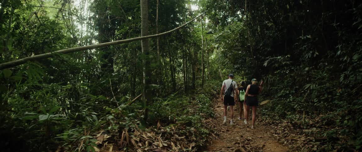 A group of friends hike up a trail through a dense tropical jungle in slow motion