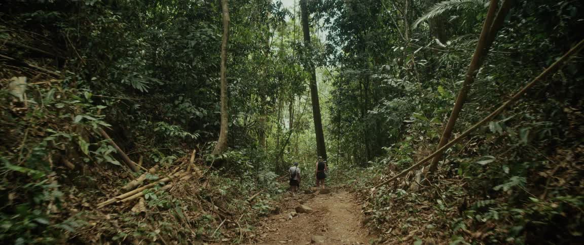 Three friends carefully hike up a steep and rocky path through a dense, lush green jungle