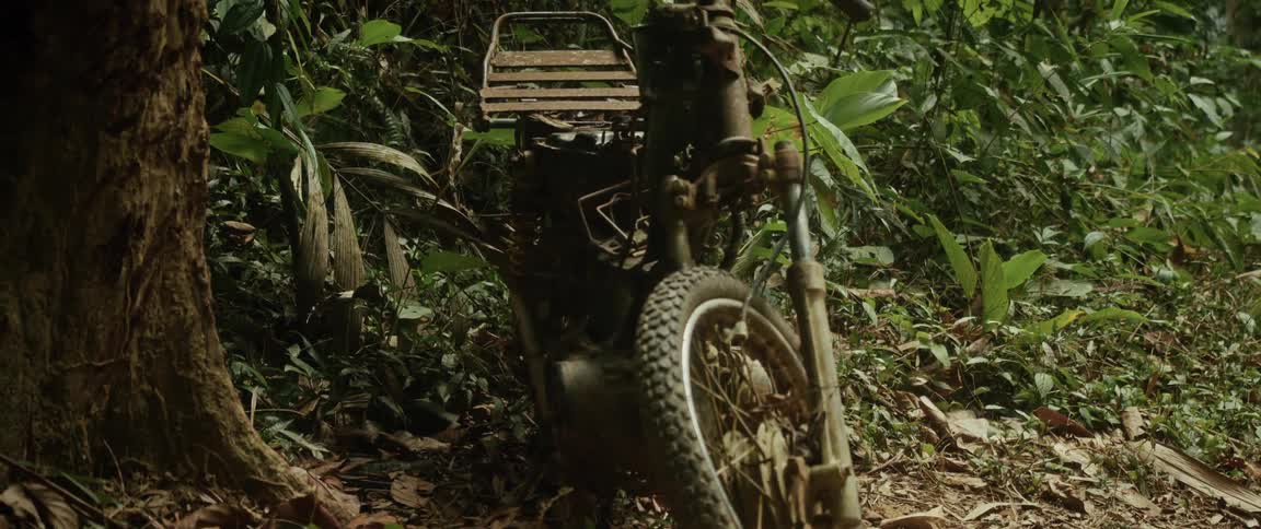 A close-up view of a rusty, abandoned scooter being reclaimed by a lush, green jungle