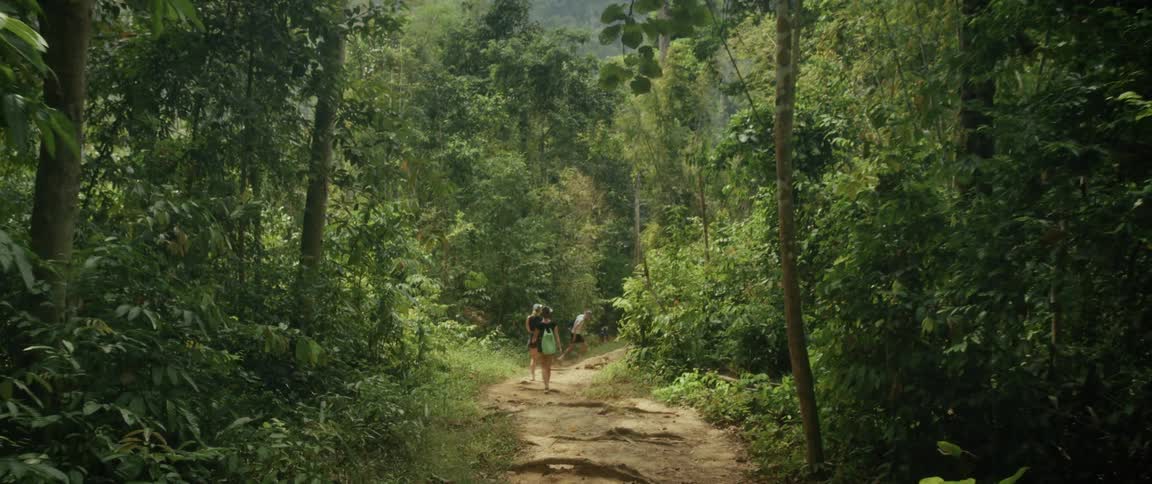A tilt down reveals a group of hikers walking along a dirt trail deep within a lush tropical jungle
