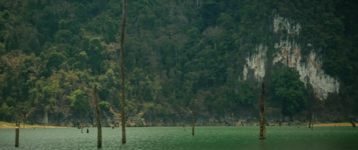 A slow zoom reveals dead trees submerged in the serene water of a lake in front of a dense jungle mountainside