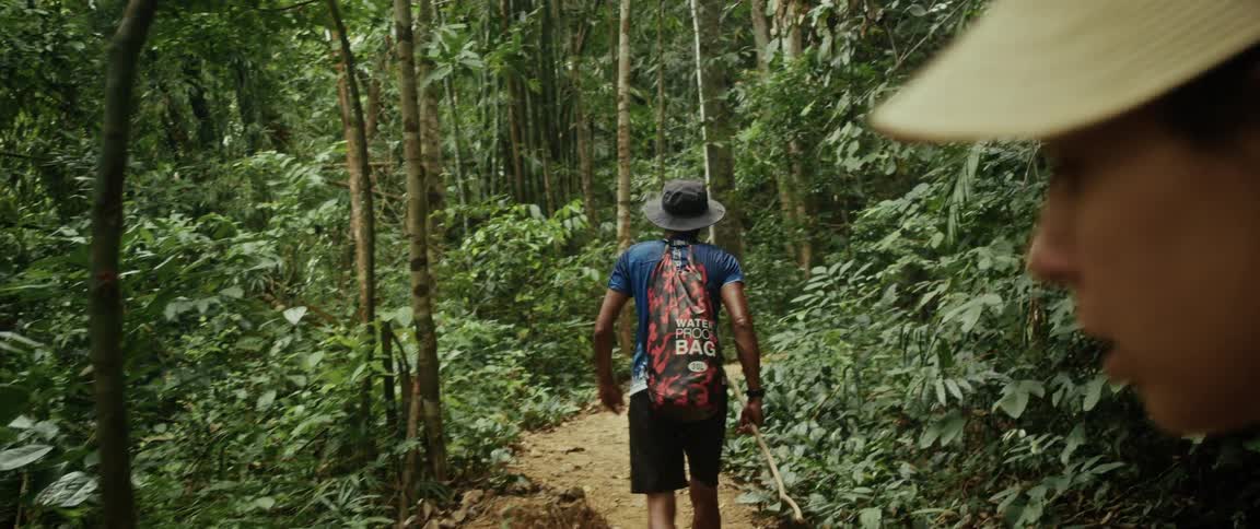 An over-the-shoulder shot follows a local guide leading a woman on a hike through a dense, tropical jungle path