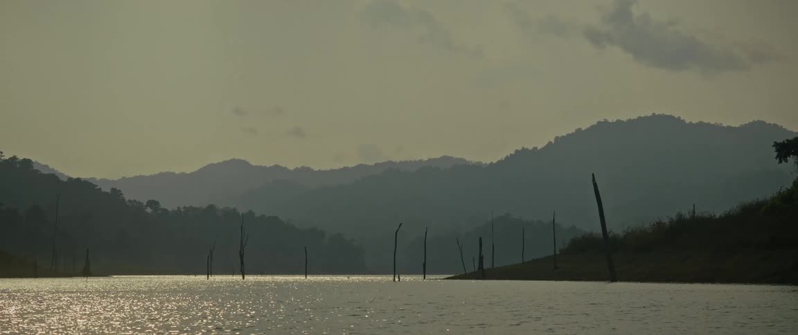 An atmospheric wide shot of a tranquil, shimmering lake with silhouetted dead trees and hazy mountains in the distance