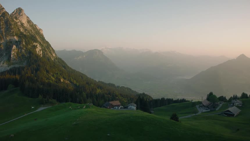 A serene aerial view flies over rolling green hills and grazing cows towards a small mountain village in the Swiss Alps at sunrise